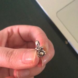 Pandora Charm!